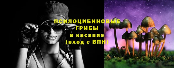 бошки Богородск