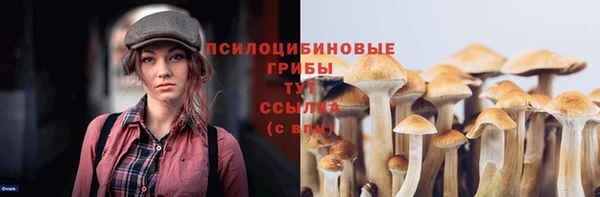 бошки Богородск